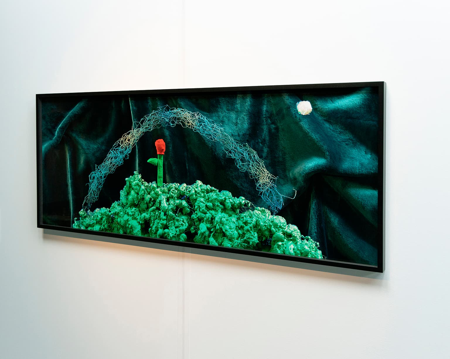 Gallery image 5