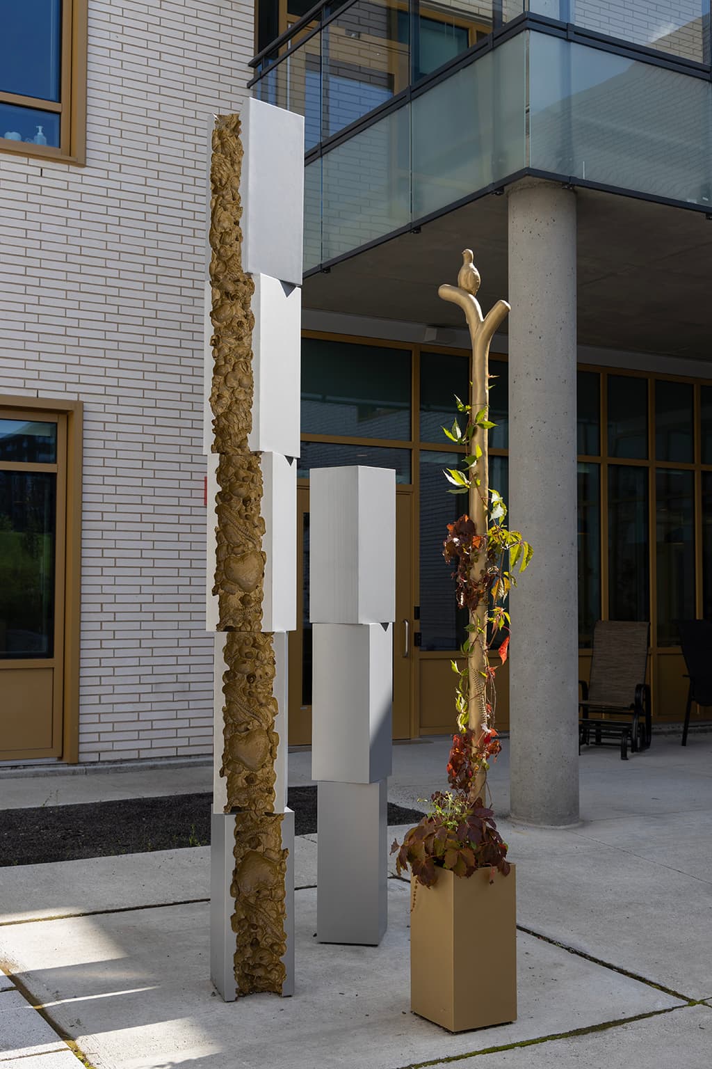 Colonnes – en cours de végétalisation